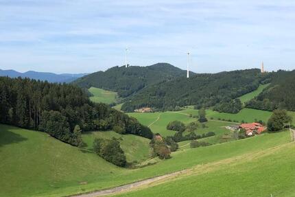 Haus Steinen - 5 Zimmer, 118 m&sup2;, 595.000&euro; | Angebot:26677798