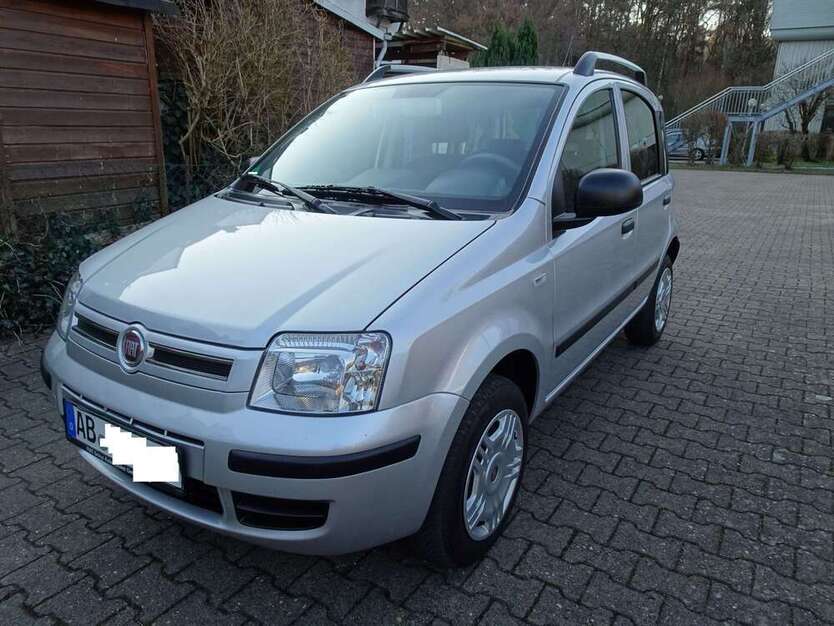Panda
