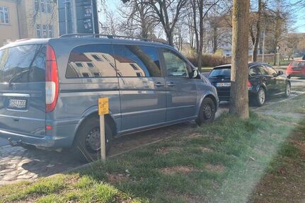 Mercedes Viano