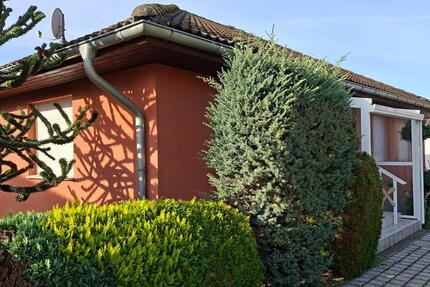 Bungalow Haus in Hoyerswerda zu vermieten zimmer