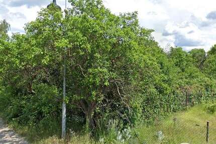 Grundstück Groß Lindow - 99.000&euro; | Angebot:25196460