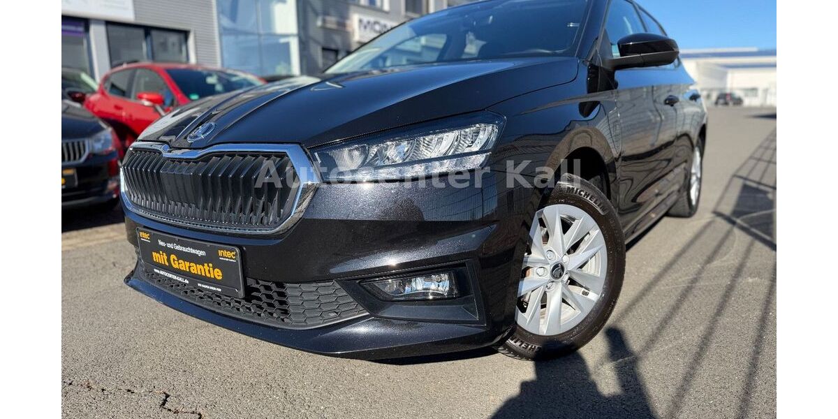 Skoda Fabia 60.000 km 13.190 &euro; Kall 53925