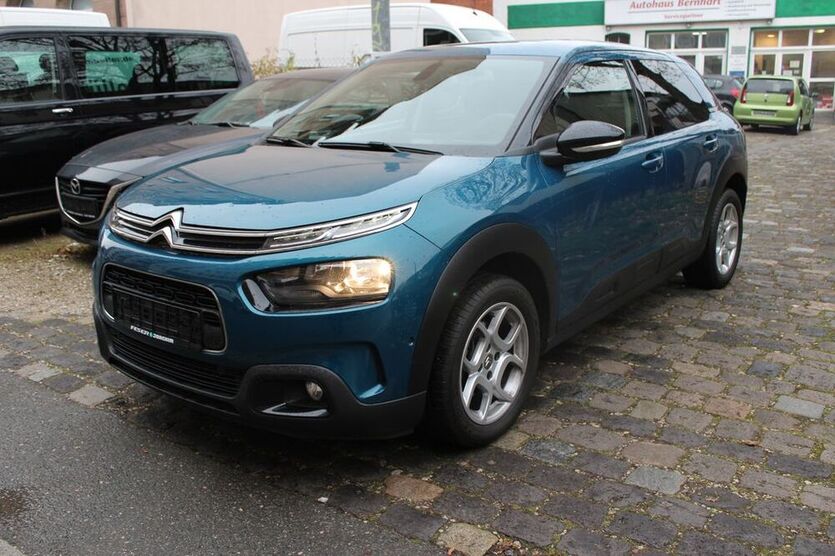 C4 Cactus