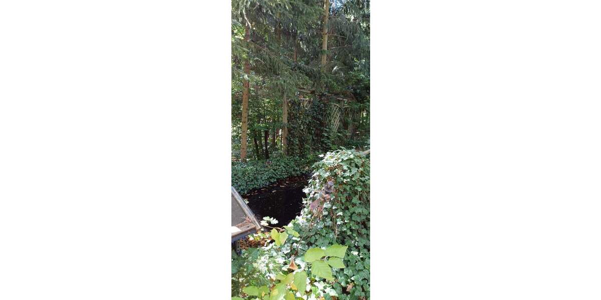 Grundstück Zeulenroda-Triebes Triebes - 39.500&euro; | Angebot:25688109