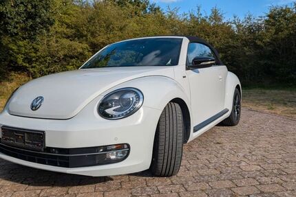 VW Beetle
