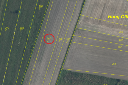 Bieterverfahren: kleine Ackerfläche in Westoverledingen zimmer