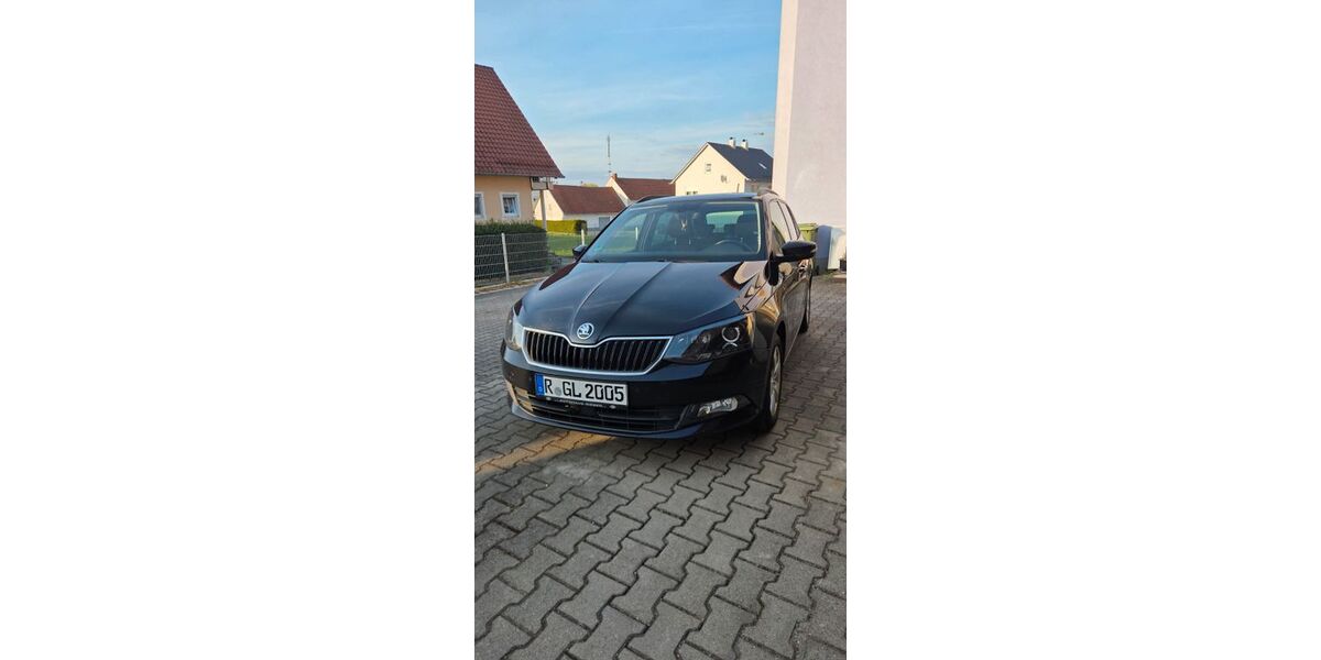 Skoda Fabia 235.000 km 5.000 &euro; Thalmassing 93107