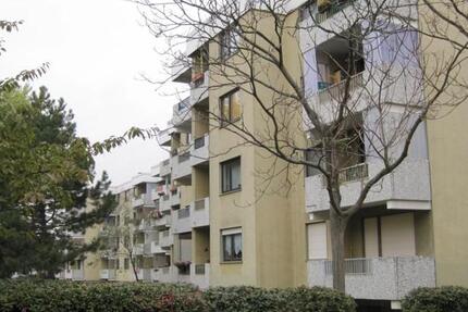 Wohnung Ginsheim-Gustavsburg Gustavsburg - 2 Zimmer, 42 m&sup2;, 526&euro; | Angebot:26377608