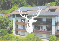 Schönes 5-Familienhaus mit top Entwicklungspotential in bester Lage von Waldshut mit Rheinblick zu verkaufen