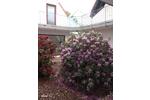 Maisonettenwohnung Stromberg - 4 Zimmer, 60 m&sup2;, 139.000&euro; | Angebot:26785913