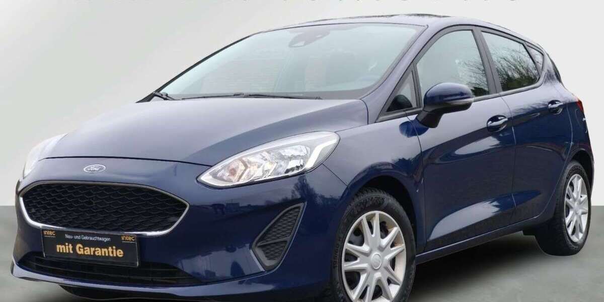 Ford Fiesta 173.000 km 5.980 &euro; Husum 25813