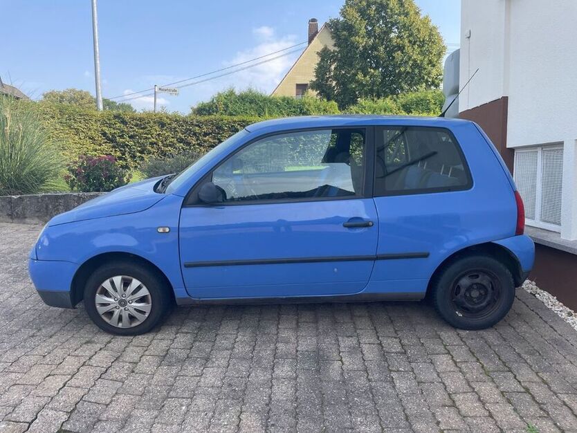 Lupo