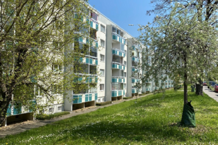 Wohnung zum Mieten in Wernigerode 368,74 € 58.53 m² 3 zimmer