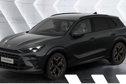 Cupra Terramar 1.500 km 41.624 &euro; Büdingen-Düdelsheim 63654