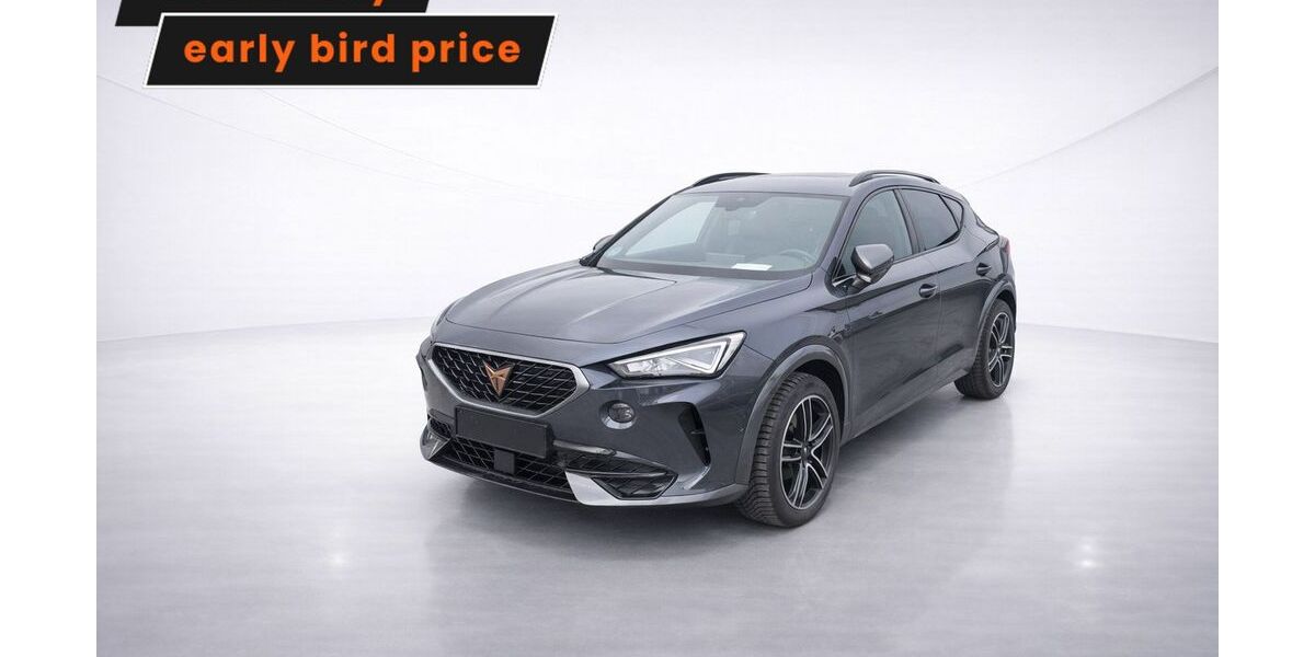 Cupra Formentor 69.523 km 22.349 &euro; Ergolding 84030