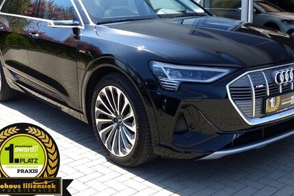 Audi e-tron 52.500 km 53.950 &euro; Dippoldiswalde 01744