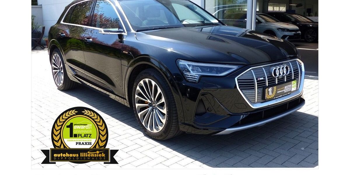Audi e-tron 52.500 km 53.950 &euro; Dippoldiswalde 01744