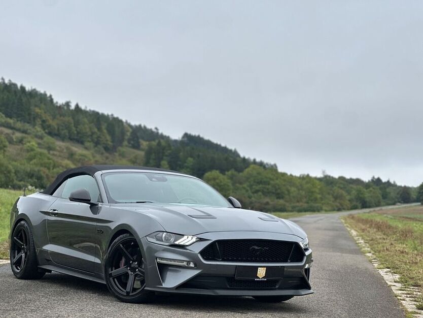 Mustang