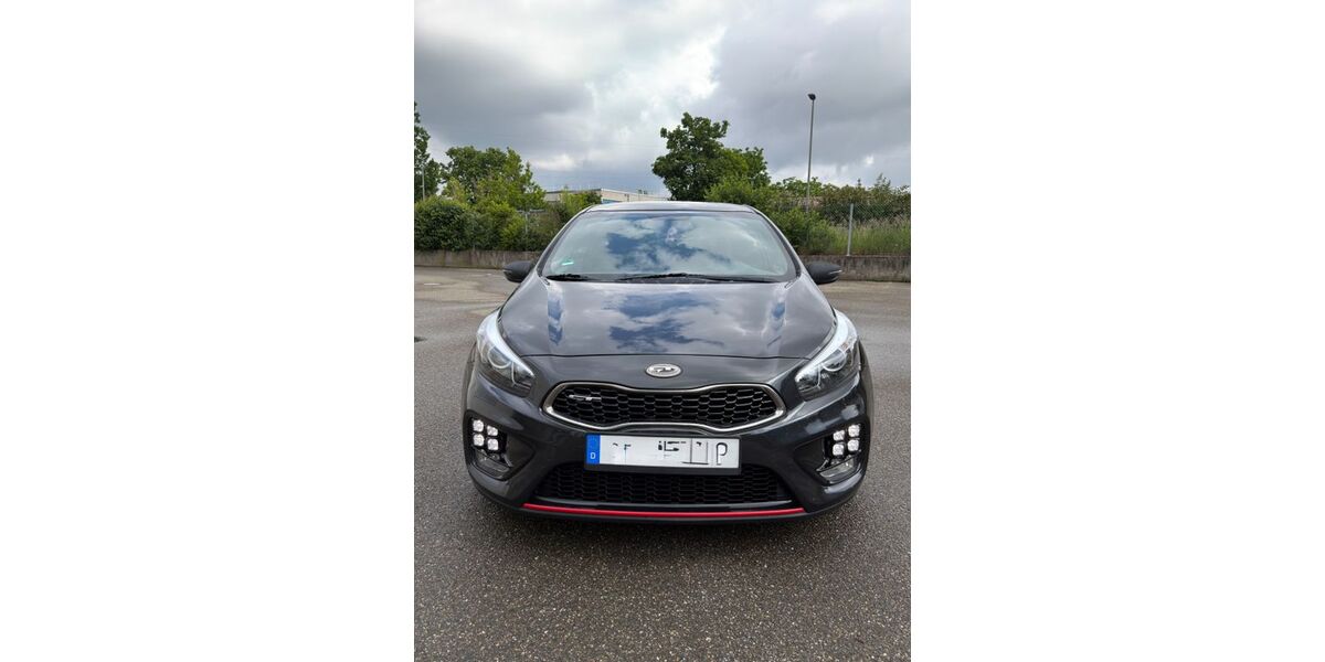 Kia ceed / Ceed 83.000 km 15.999 &euro; Ludwigshafen am Rhein 67067