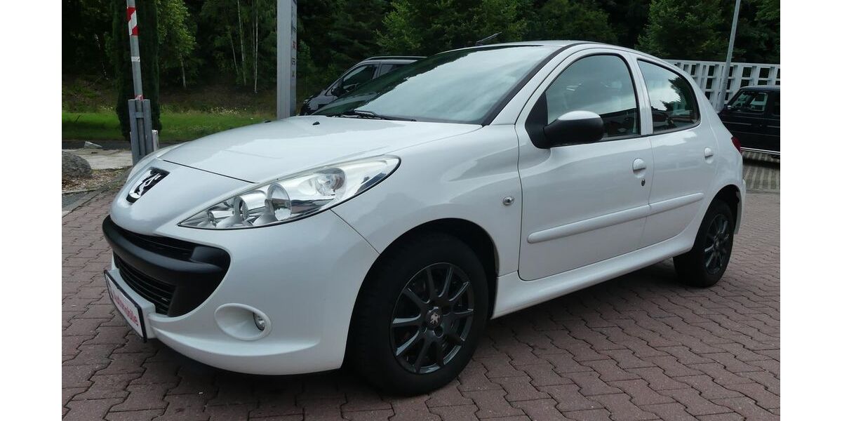 Peugeot 206 114.150 km 4.990 &euro; Schneeberg 08289