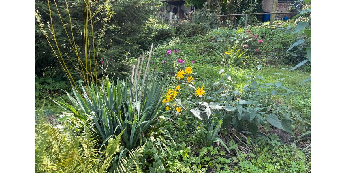 Doppelhaushälfte Zwickau - 4 Zimmer, 101 m&sup2;, 123.000&euro; | Angebot:25961771