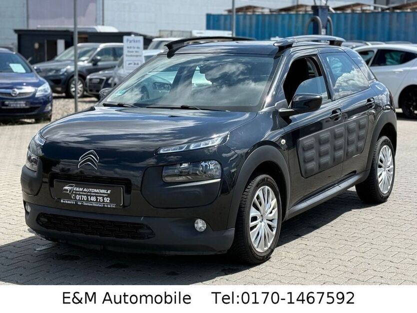 C4 Cactus