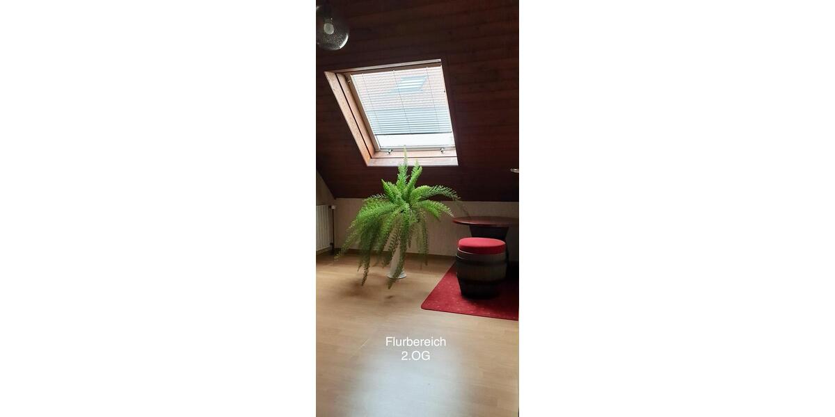 Doppelhaushälfte Pfungstadt - 475.000&euro; | Angebot:26809490