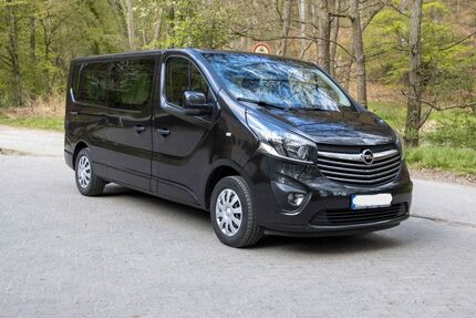 Opel Vivaro 80.494 km 21.000 &euro; Glattbach 63864