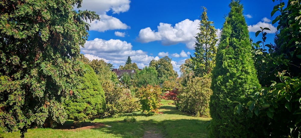 Ein- oder Zweifamilienhaus mit großem Garten - Einfamilienhaus Angermünde | Angebot:23507973