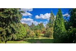 Ein- oder Zweifamilienhaus mit großem Garten - Einfamilienhaus Angermünde | Angebot:23507973