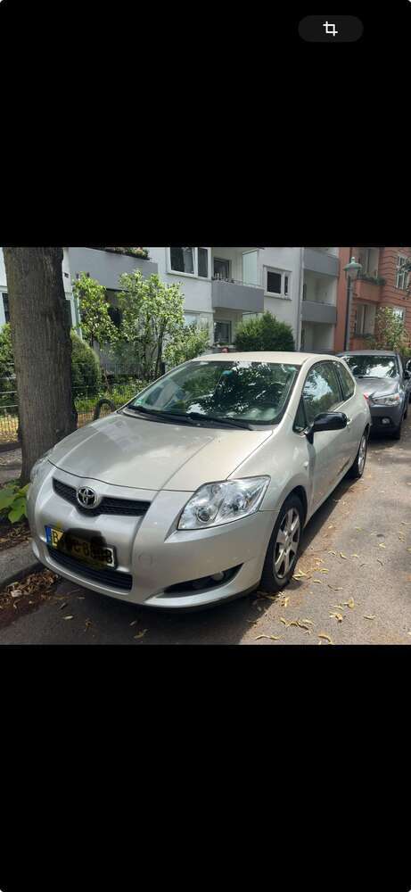 Auris