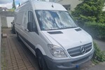 sprinter 311