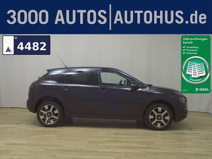 C4 Cactus