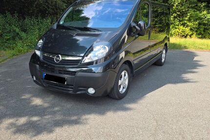 Opel Vivaro 241.000 km 9.800 &euro; Kalletal 32689