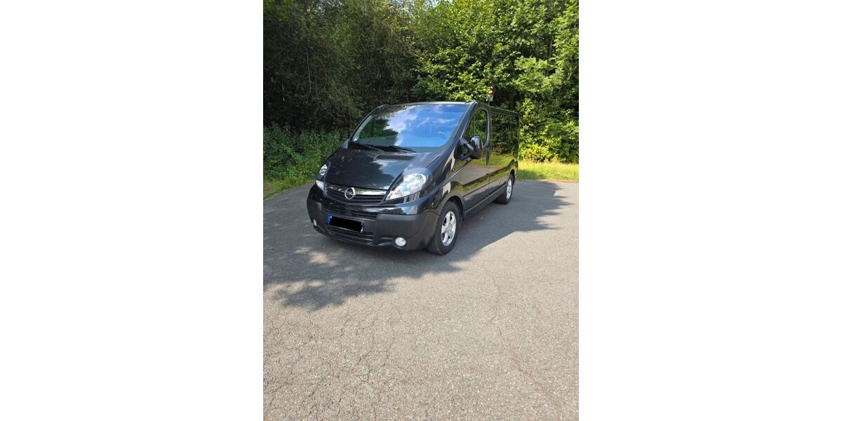 Opel Vivaro 241.000 km 9.800 &euro; Kalletal 32689