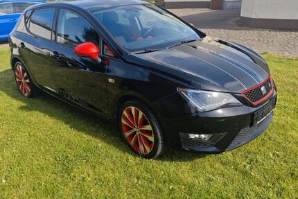 Seat Ibiza 103.466 km 9.500 &euro; Lützen 06686
