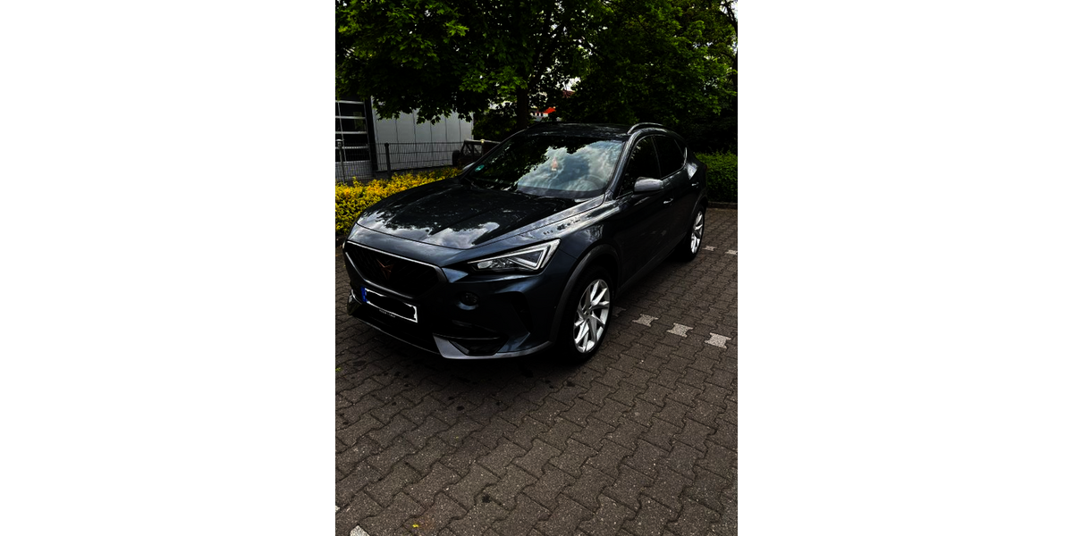Cupra Formentor 99.000 km 22.100 &euro; Nierstein 55283