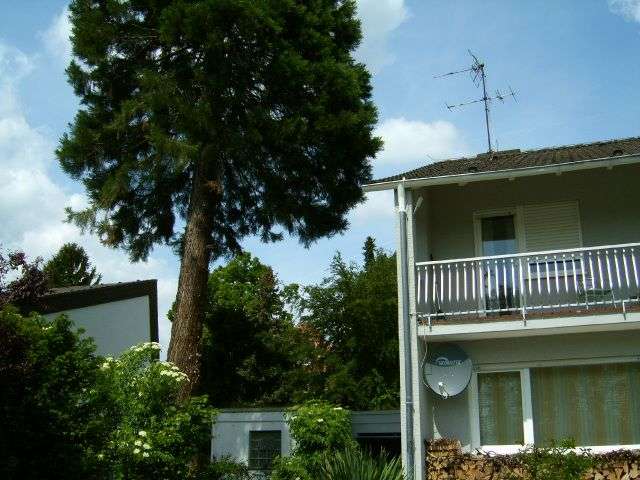 Zimmer Bensheim - 2 Zimmer, 1.790&euro; | Angebot:24985743