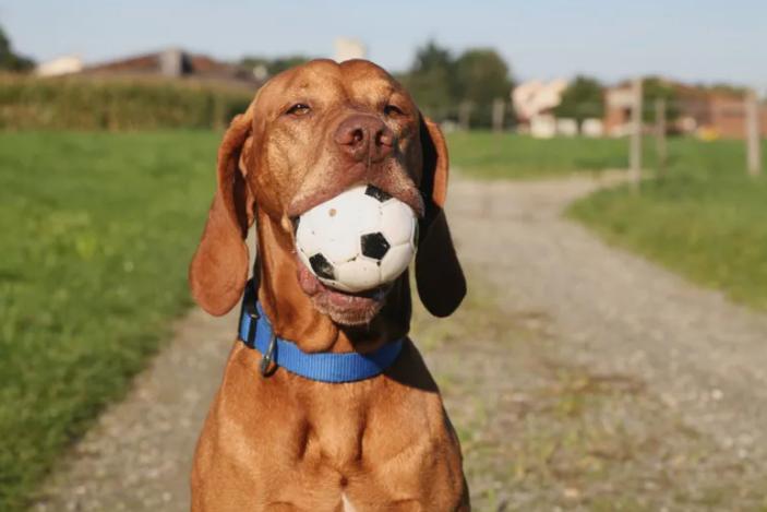 Heimat für Herz und Seele 5 zimmer