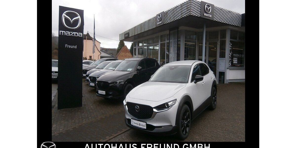 Mazda CX-30 4.050 km 26.950 &euro; Fischbach bei Dahn 66996