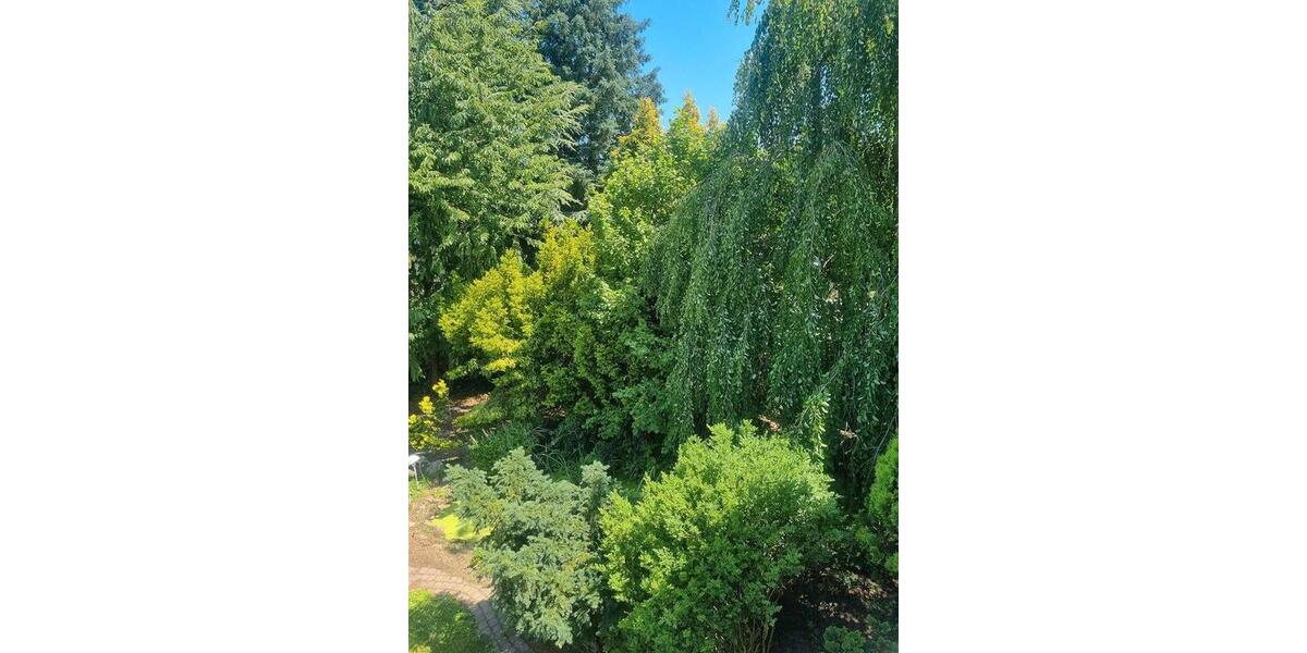 Mehrfamilienhaus, Wohnhaus Blomberg - 12 Zimmer, 313 m&sup2;, 349.000&euro; | Angebot:27075227