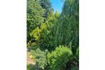 Mehrfamilienhaus, Wohnhaus Blomberg - 12 Zimmer, 313 m&sup2;, 349.000&euro; | Angebot:27075227