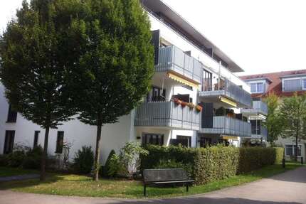 Wohnung zum Mieten in Wangen 650 € 55 m²