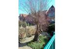 Gewerbeobjekt Wilster - 298.000&euro; | Angebot:26160365