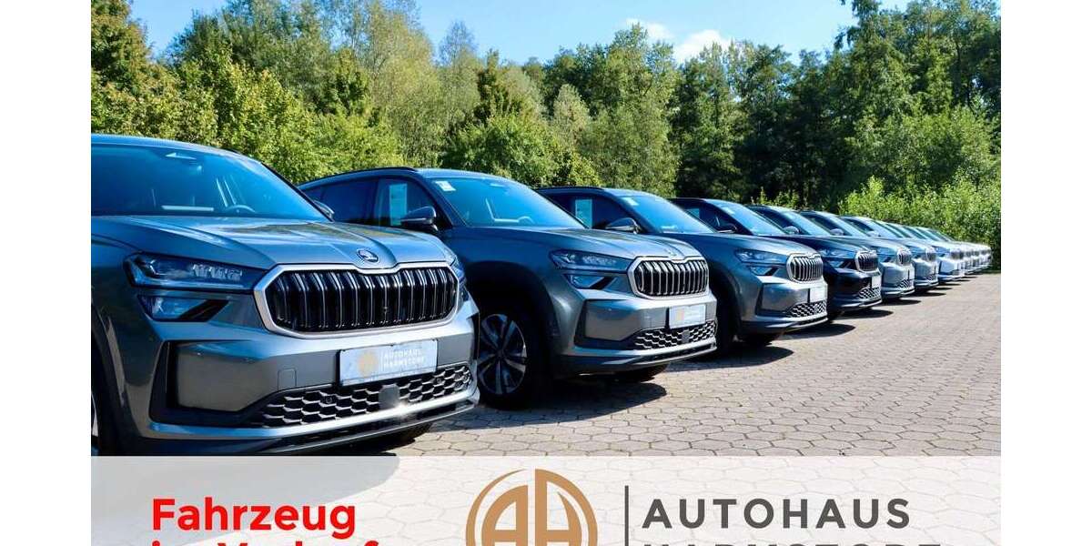 Skoda Kodiaq 1.020 km 39.990 &euro; Harmstorf 21228