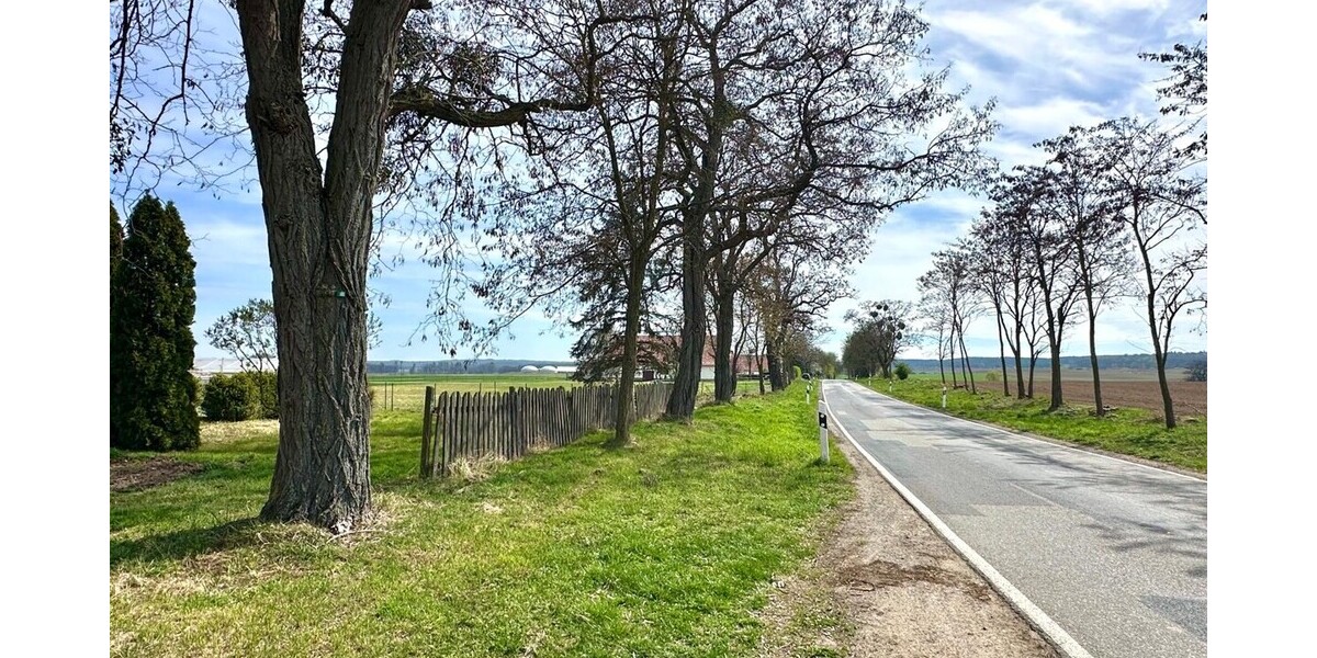 HORN IMMOBILIEN ++ Alleinlage gesucht? Einfamilienhaus, voll unterkellert in Gehren bei Strasburg - Einfamilienhaus Strasburg / Gehren Gehren | Angebot:27083659