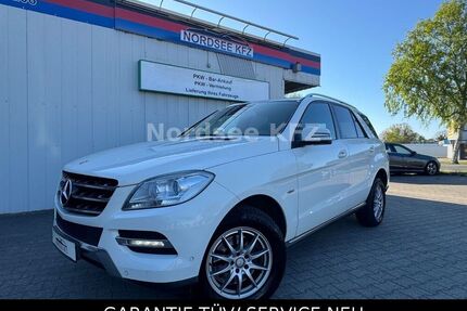 Mercedes ML 250