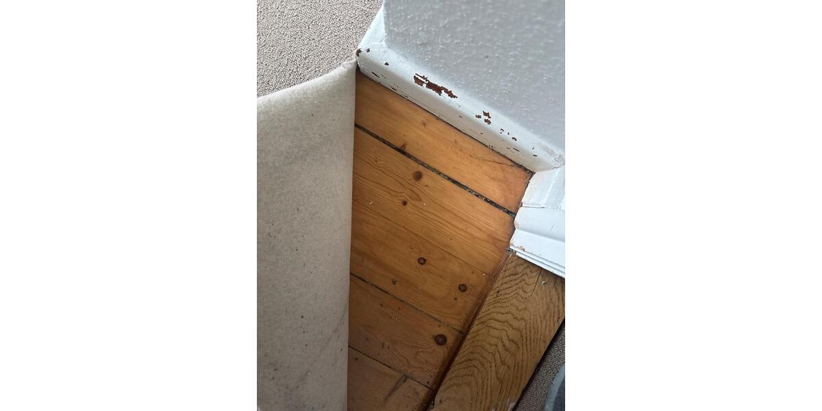 Dachgeschoßwohnung Oldenburg Eversten - 2 Zimmer, 60 m&sup2;, 450&euro; | Angebot:26415882