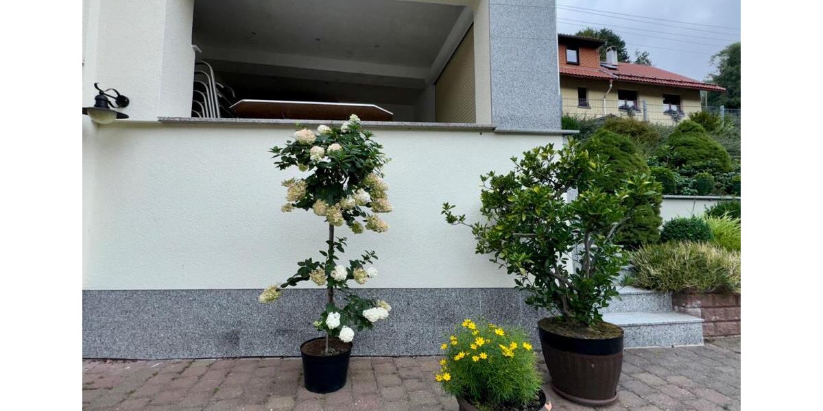 Einfamilienhaus Steinbach-Hallenberg Hallenberg - 7 Zimmer, 142 m&sup2;, 170.000&euro; | Angebot:25943916