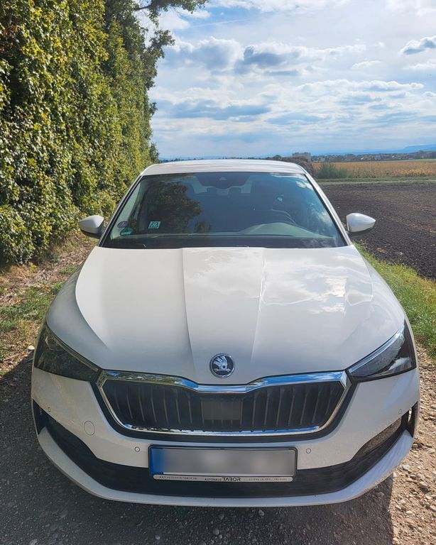 Skoda Scala 65.336 km 19.999 € Offenburg 77654